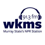 WKMS icon