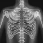 XRay - Sublux Anatomy Learning icon