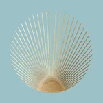 Forte dei Mommy icon