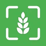 Find Me Gluten Free AI icon