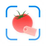 NDX AI Shopping Assistant icon