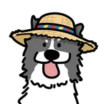 Collie - Travel Planner icon