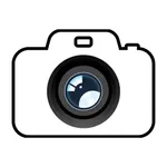 WhimsyCam icon