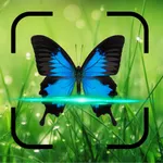 Bug Identifier Insect Scan Fox icon