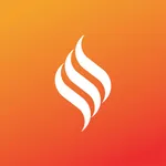 FDIC International icon