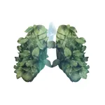 iBreathwork | HFC icon