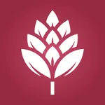 Browin Control icon