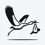 Baby Names: Meaning & Analysis icon