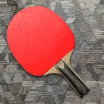 Ping Pong X: Realistic 2D Game icon