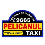 Taxi Pelicanul (by AST) icon