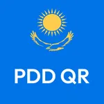 PDD QR icon