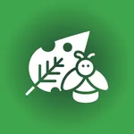 Plant disease identifier app icon