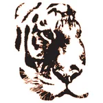 Republic Tiger Sports '25 icon