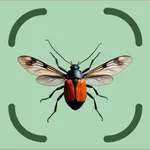 Bug Identifier: Species ID icon