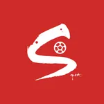 Sement Sports - Live Scores icon