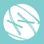 Flip for Function icon