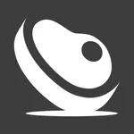 BONIQ controller icon