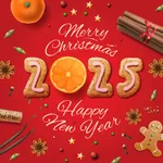 Christmas Countdown - Stickers icon