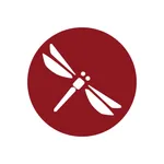 DRAGONFLY Preschool icon
