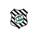 Figueirense Futebol Clube icon
