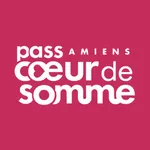 Pass Amiens icon