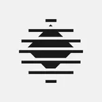 Janus Chat icon
