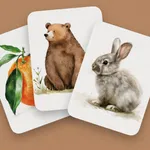 Baby's First Words Flash Cards icon