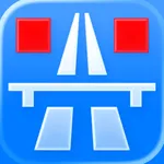 DashCam Recorder PiP icon