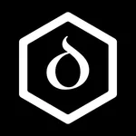 Dual: Solo Leveling For Life icon