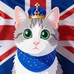 Idiom Catcher Advanced English icon