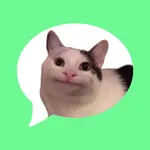 Message stickers : animal meme icon