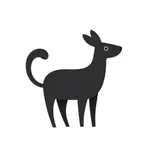 CloseReels: Reduce Scrolling icon