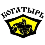 ТЗ Богатырь Малахит icon