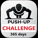 Push-up Challenge! icon