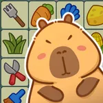 连连消除乐 icon