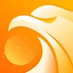 Falcon VPN - Online Net icon