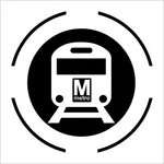 D.C. Metro icon