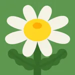 Daisy's Flower Shop icon