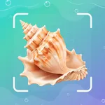 Conchology Identifier icon