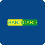 Cartão Bandcard icon