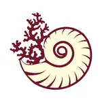 Nautilus Coral icon