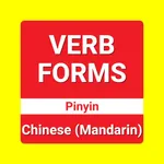 Learn Chinese: Verb Forms icon