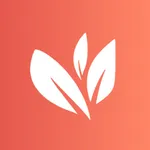 Allspice - Recipe Meal Planner icon