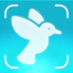 Bird Identifier AI: Birdie icon