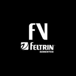 Feltrin Forca De Vendas icon