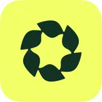 Arbor: Lower your energy bill icon