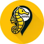 Yellow Taxi Driver icon