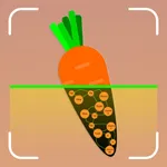 Food Calorie Tracker App icon