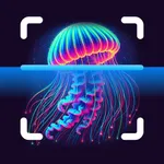 JellyScan - Identify Jellyfish icon