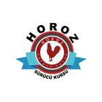 Horoz Sürücü Kursu icon